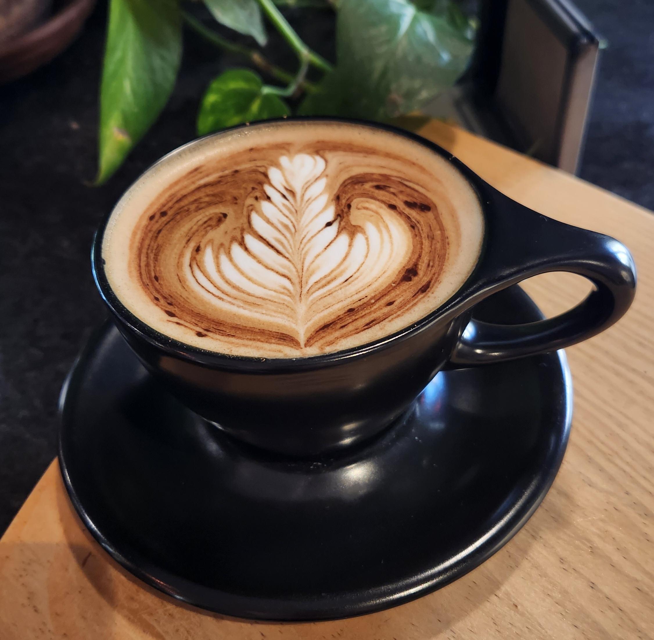Latte art with a leaf-shaped foam design in a black cup on a wooden surface with ivy houseplants