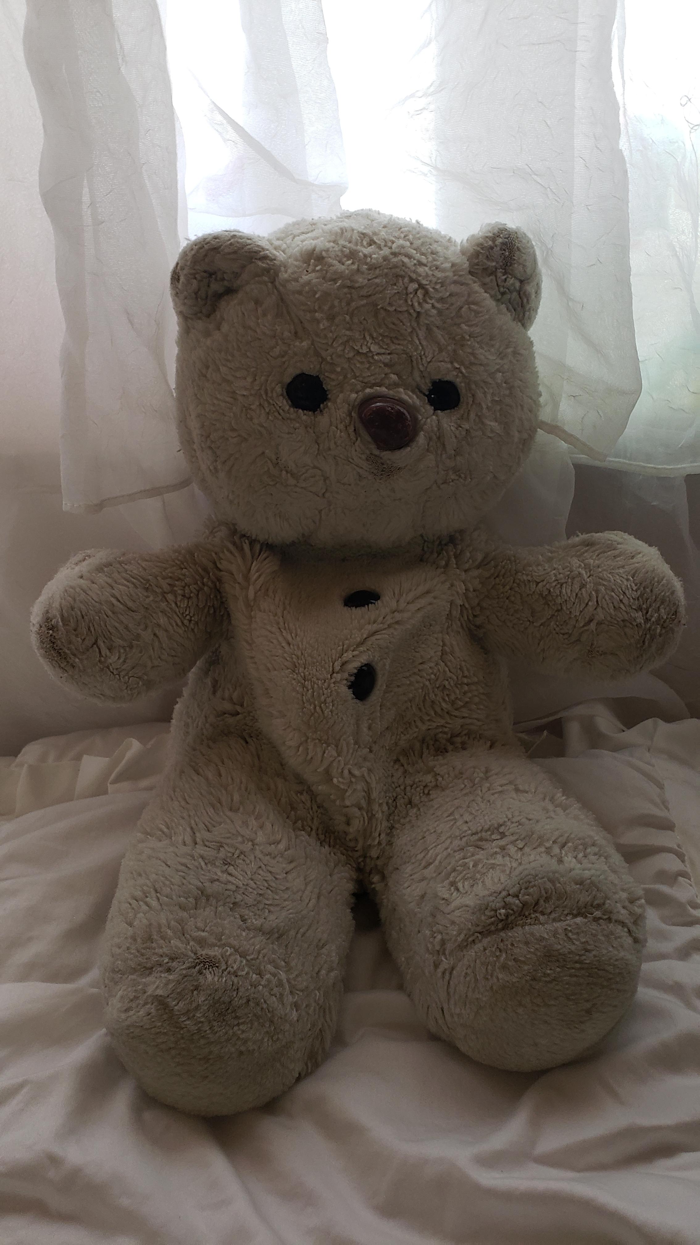 Teddy Bear Brand, Name? | Scrolller