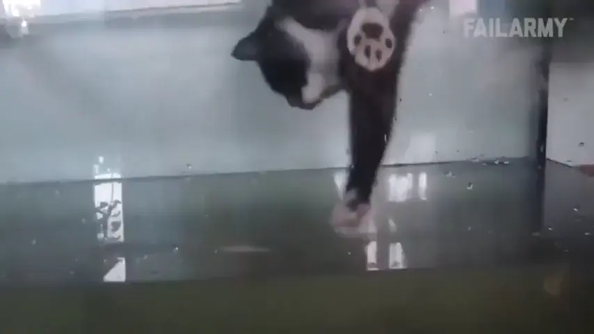 Testing the water temperature.