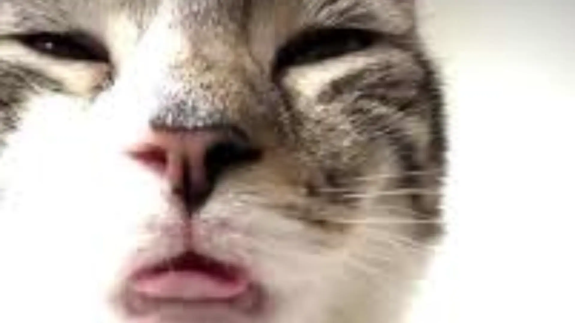 testing vocal sample