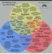 The ADHD/ Autism/ Giftedness overlap 