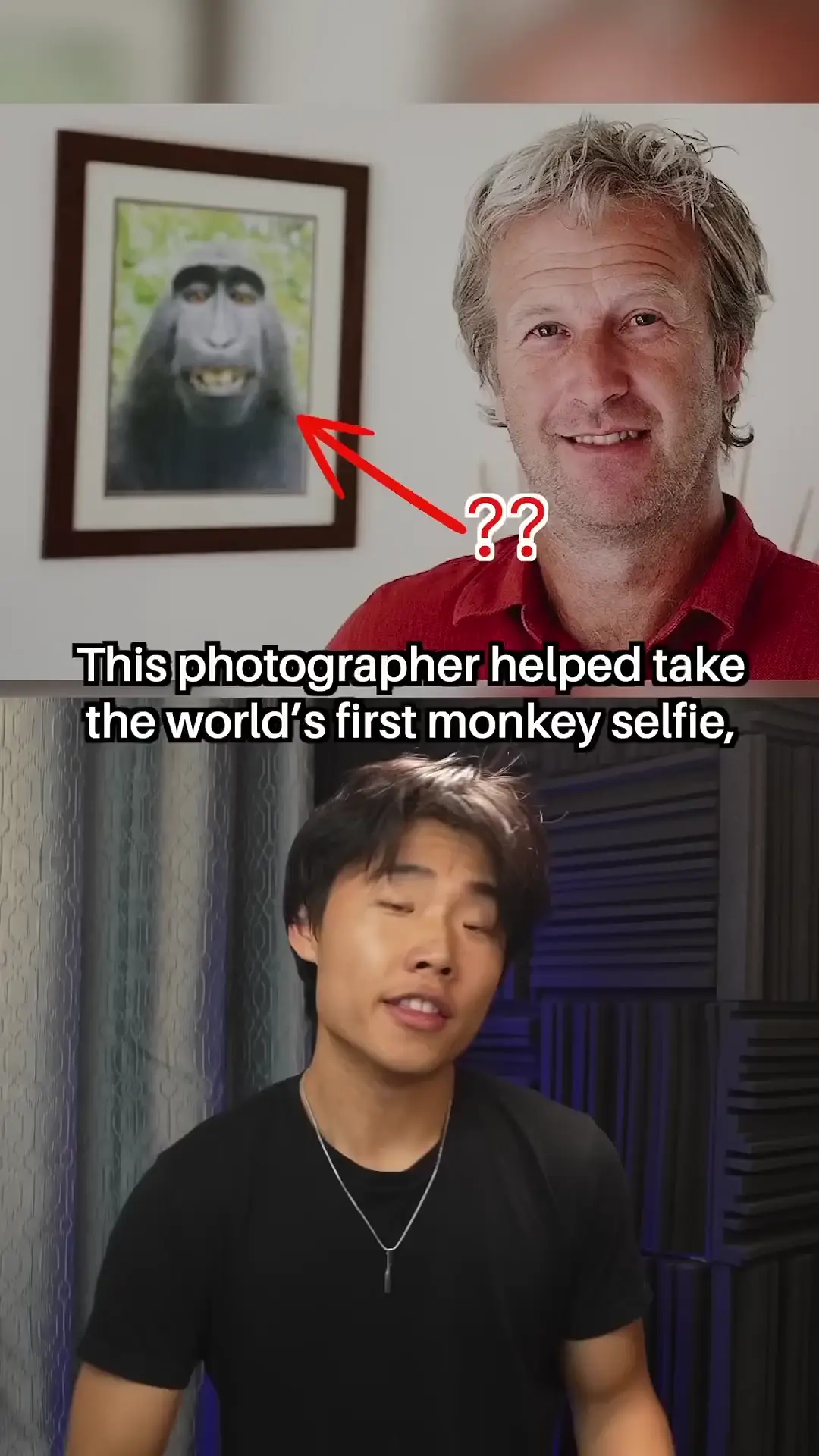 The Backstory Behind The Iconic "Grinning Macaque" Meme Photo