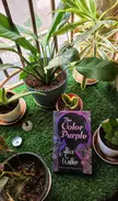 The Colour Purple in My Green Window Garden ... 💚... "I think it pisses God off if you walk by the color purple in a field somewhere and don't notice it." ...💜... Book: The Colour Purple by Alice Walker. 