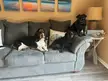 The crew taking over the couch