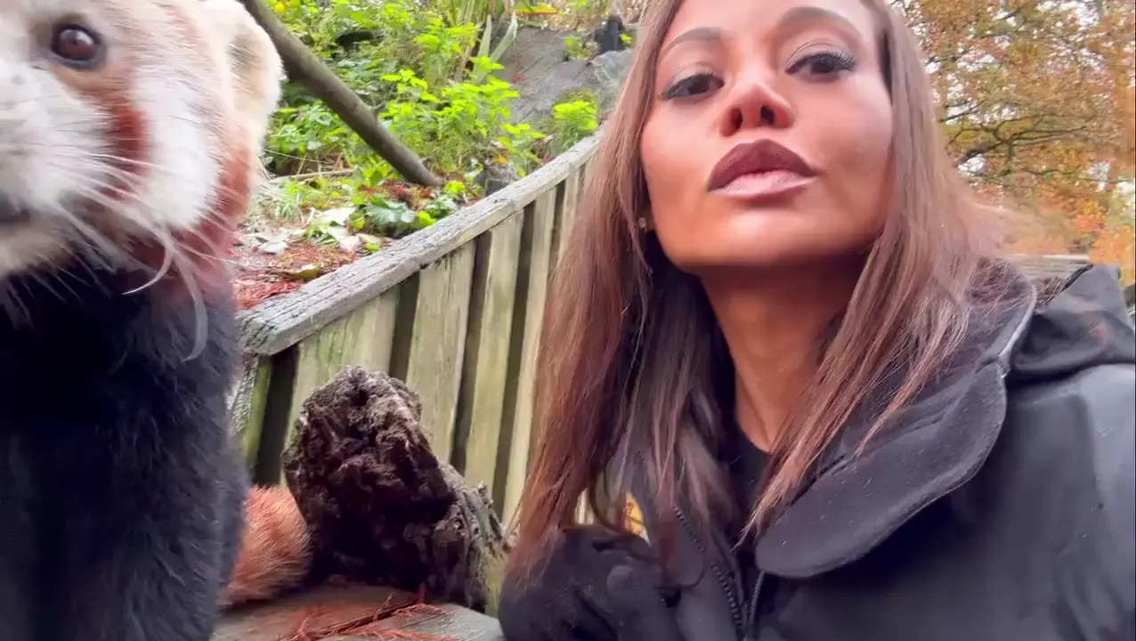 The Emmas of Longleat 