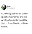 The Good Time Ruiner