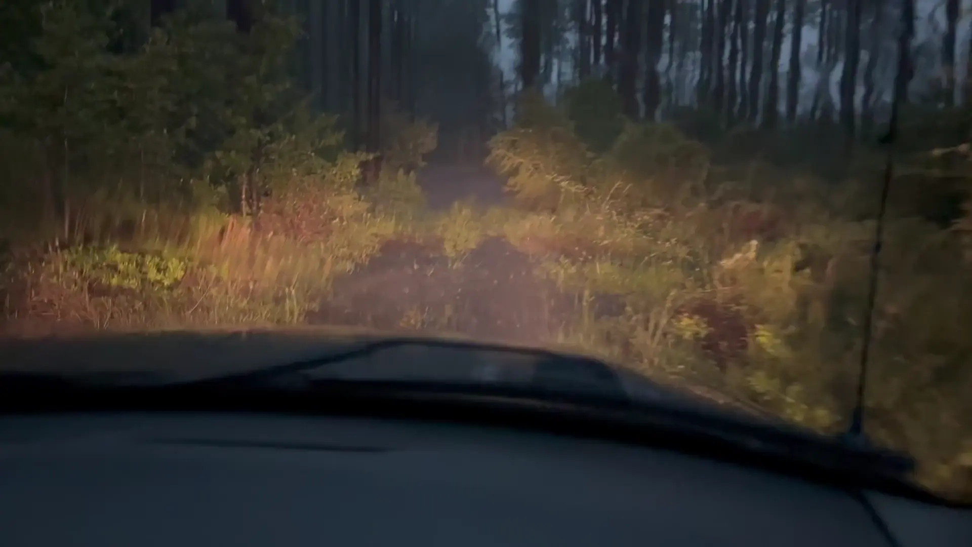 The human body is 75% water; my truck engine is now 100%