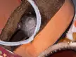 The Loot’s to cute! 