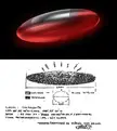 The official drawing of the 100 meter "American football-shaped" UFO filmed by Captain Hollanda and his team hovering low over Colares in 1977. Hollanda said this classified footage was so good it would prove to the world for a fact that aliens were real.