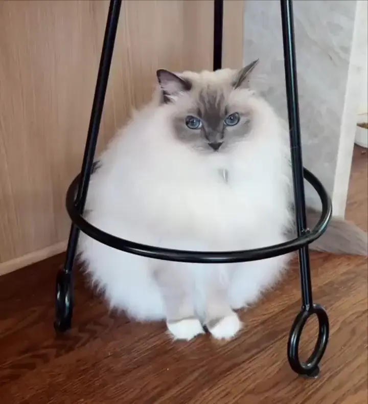 The perfect fit