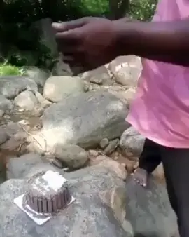 The stealing monke