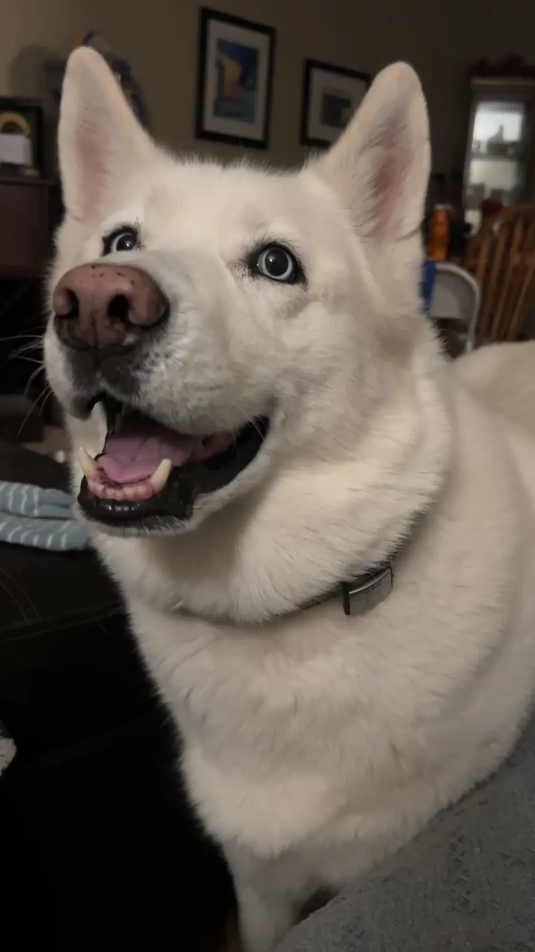 The temps decrease; the sass increases 