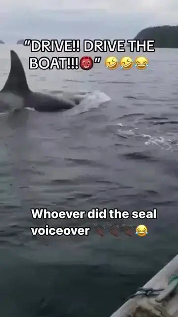 The voice actor and script 🤌