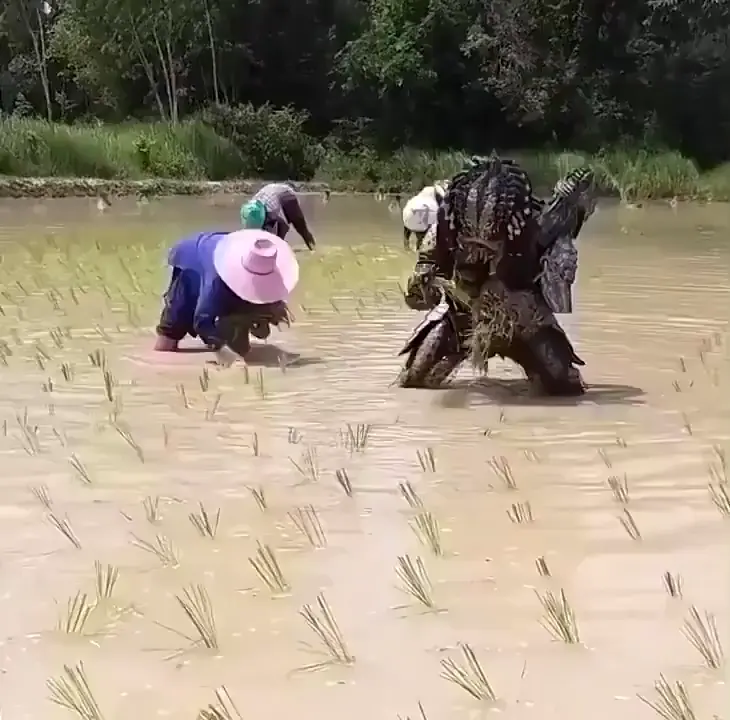 They are here .....😳