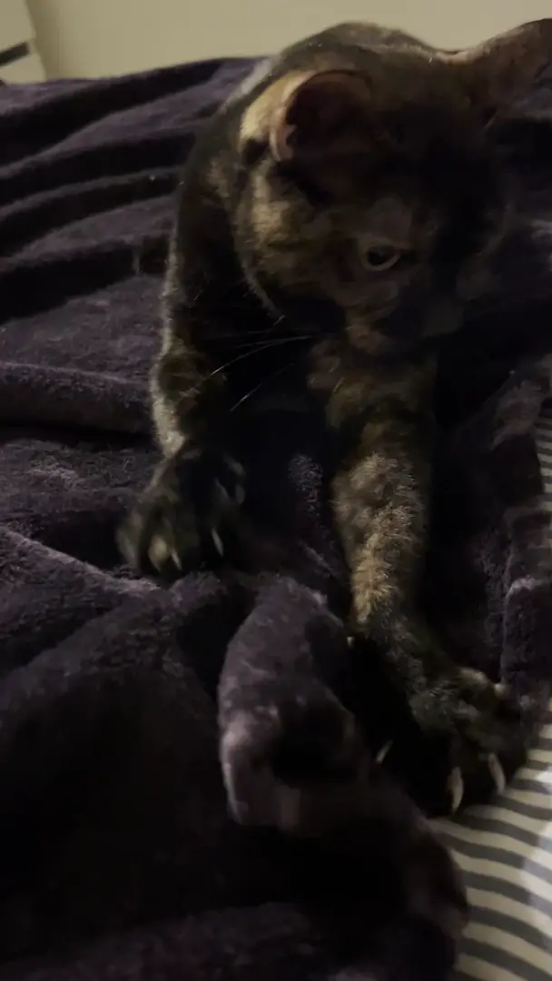 This is one busy motor