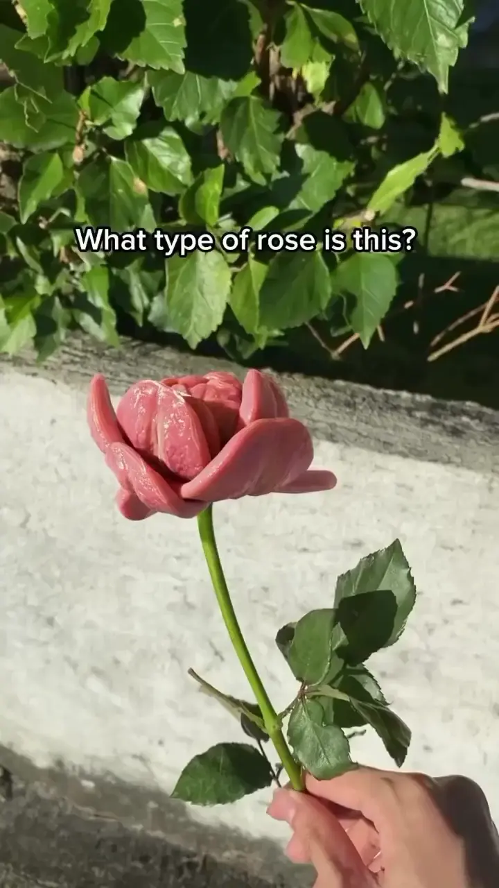 This would be useful.