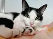 Those eyes, those beans, that little pink nose—she knows she's the whole package!