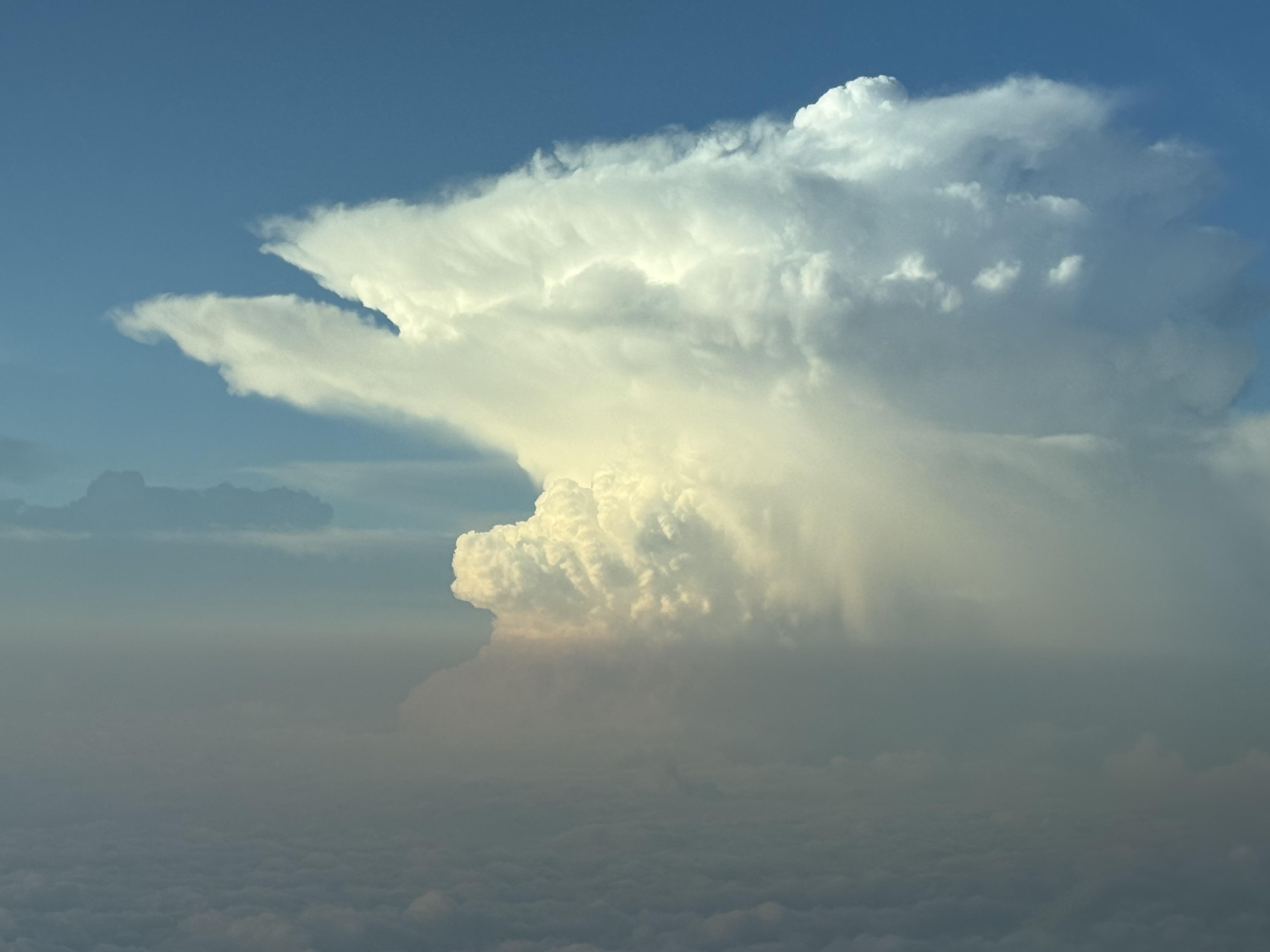 Thunderstorm cell 