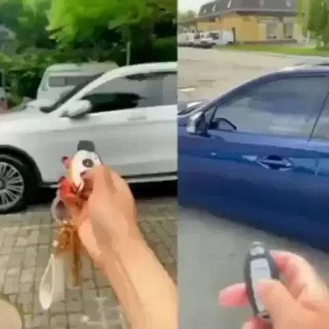 TikTok Life vs Real Life | Scrolller