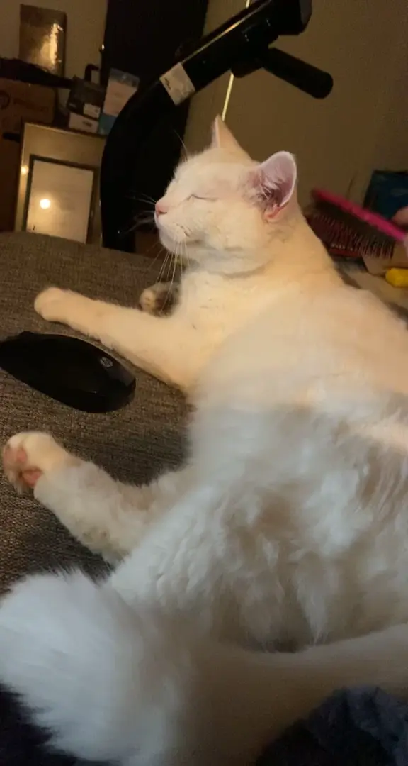 Time stops when the brush comes out.