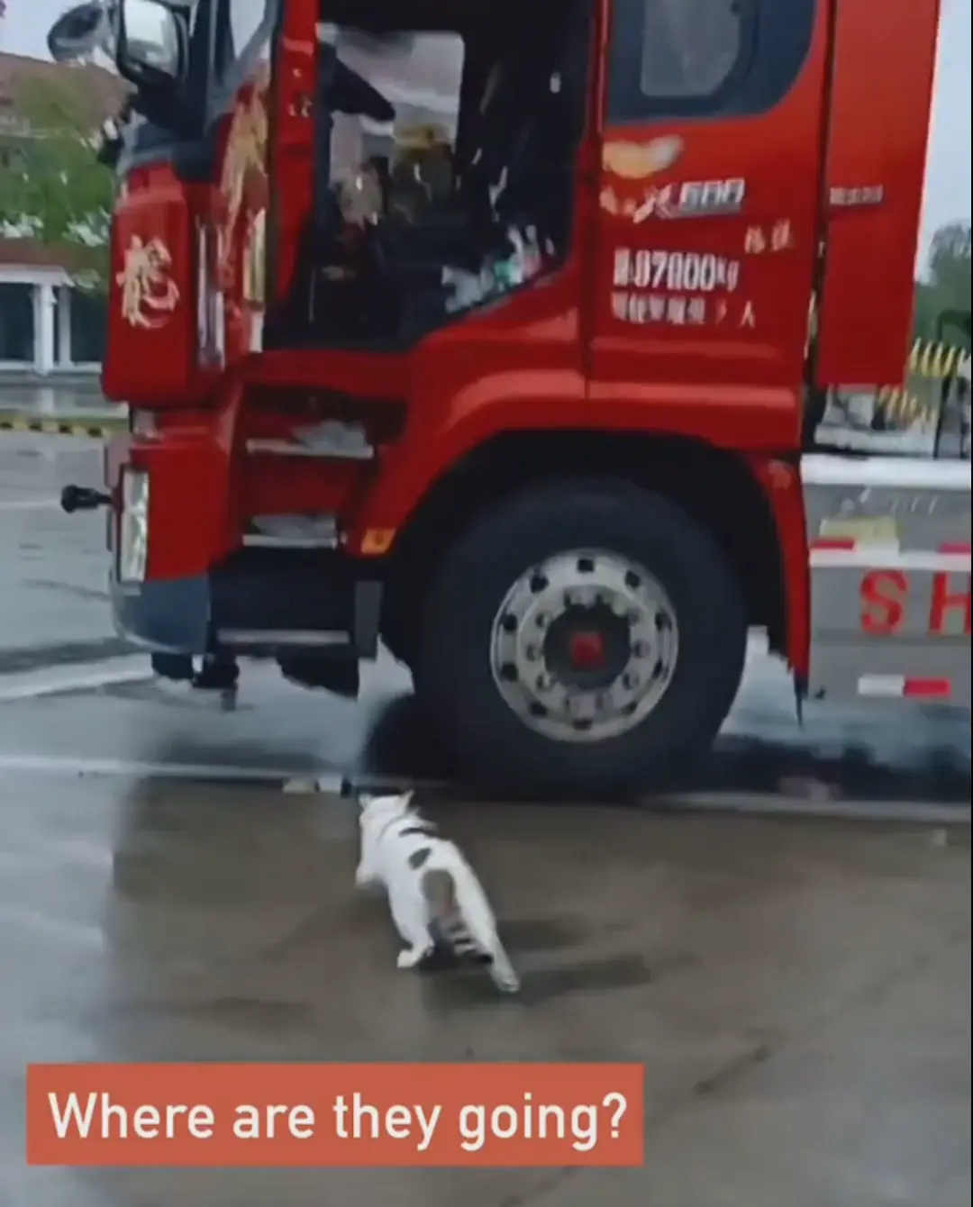 Tiny truckers