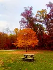 Tippecanoe River State Park | Pulaski County, Indiana