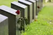 Titanic Victim Headstone with a dead rose. MOC