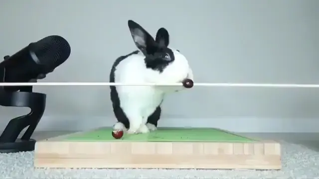 To Eat a Grape....