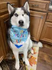 Today’s my 3rd Birthday!