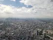 Tokyo stretching as far as the eye can see