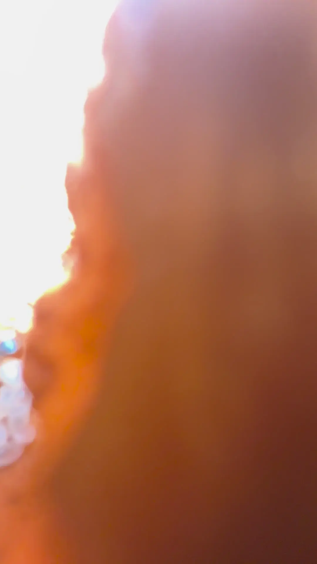 top pov of a beginning carpenter colony