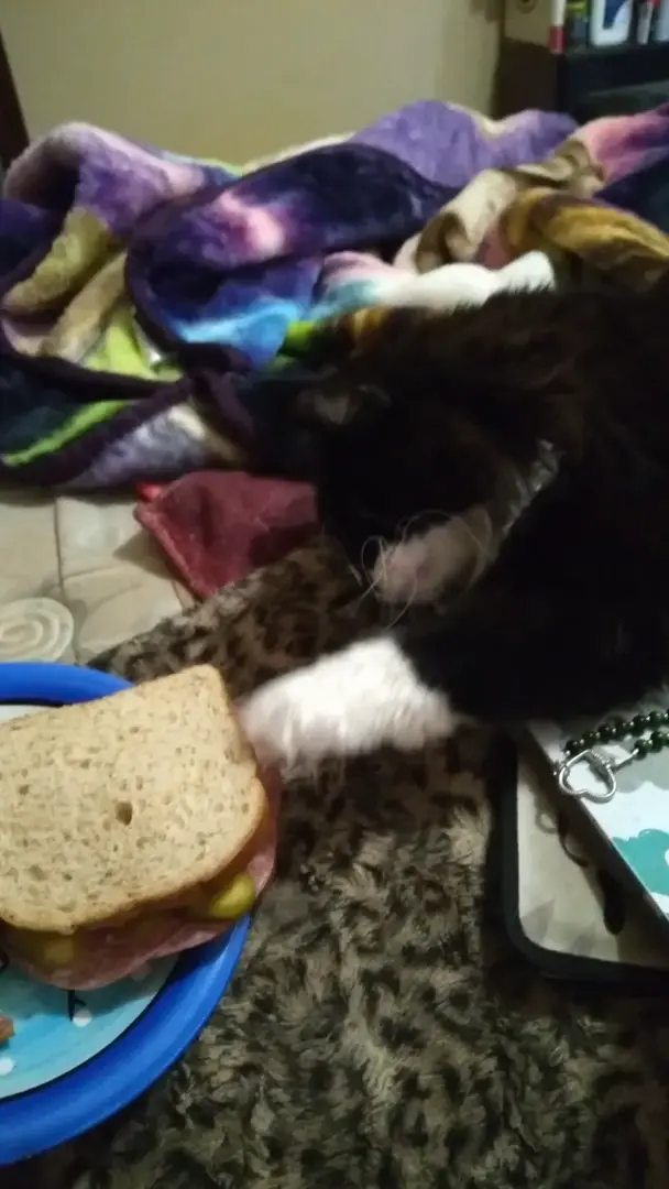 Touch tha bread
