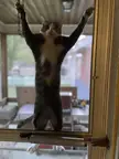 Climbing instructor.
