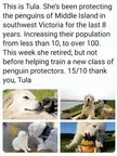 Tula deserves our love and appreciation today 💞