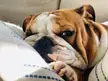 Turn the fan on and let me chill…