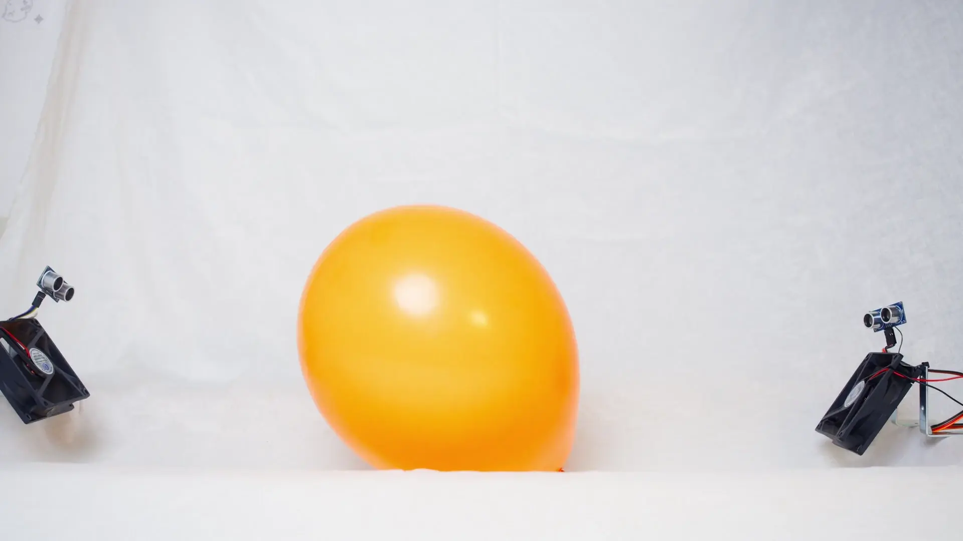 Two Small Fans Playing With A Balloon Scrolller