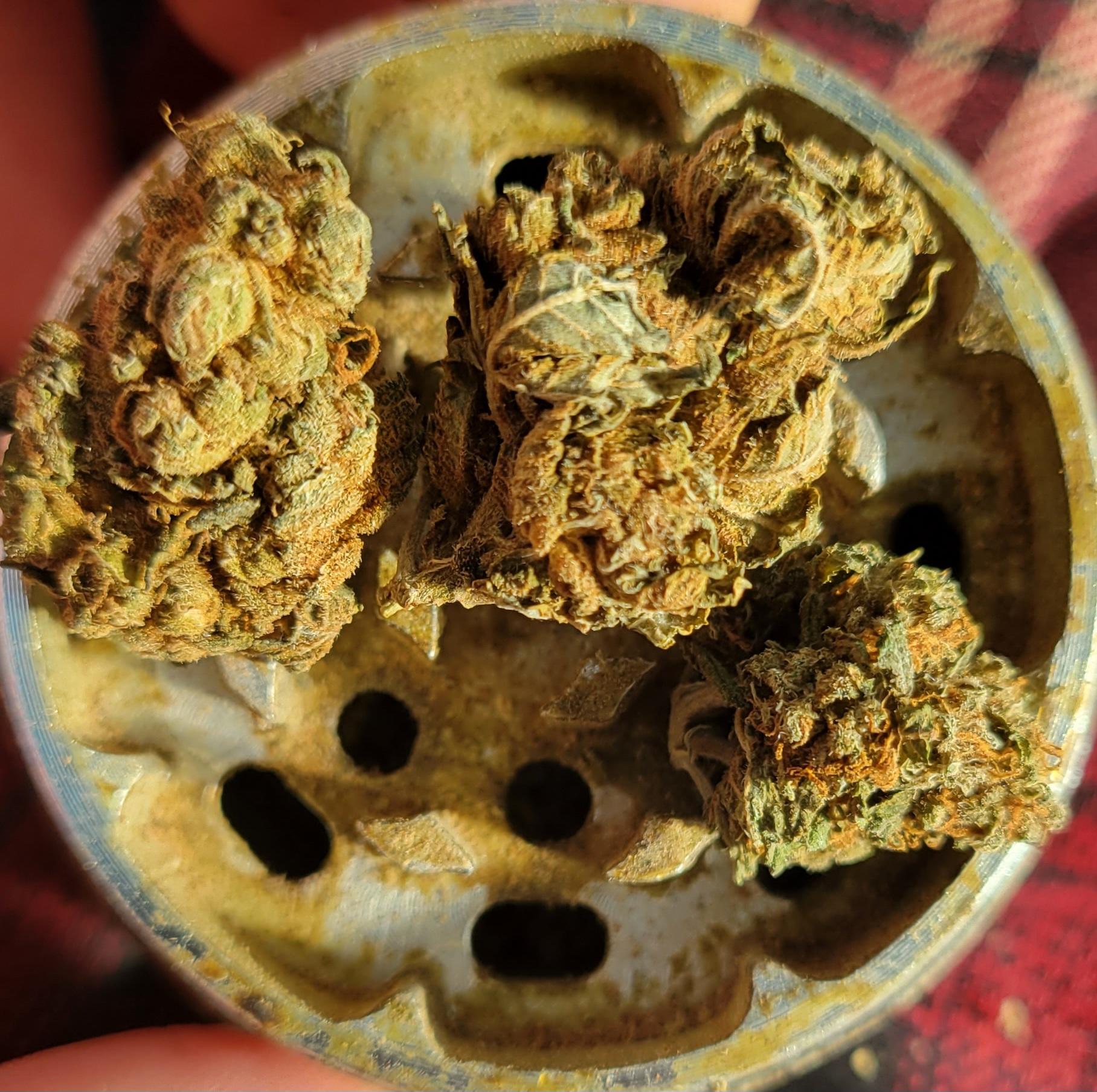 Hash joints | Scrolller