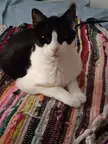 Umm, why are you looking as though you're judging me?