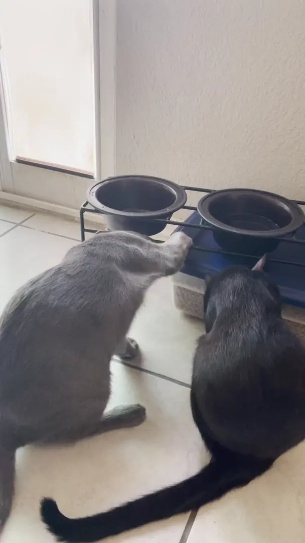 Unexpected Consequences