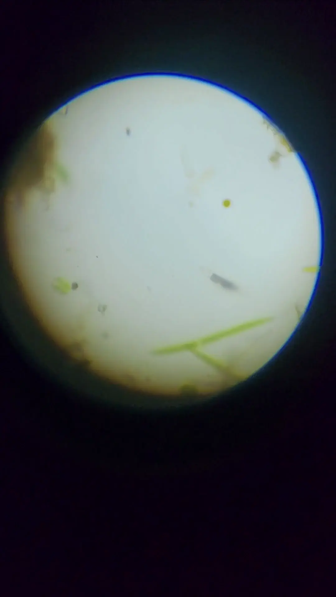 Unknown Organism 