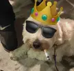 Unlimited rizz