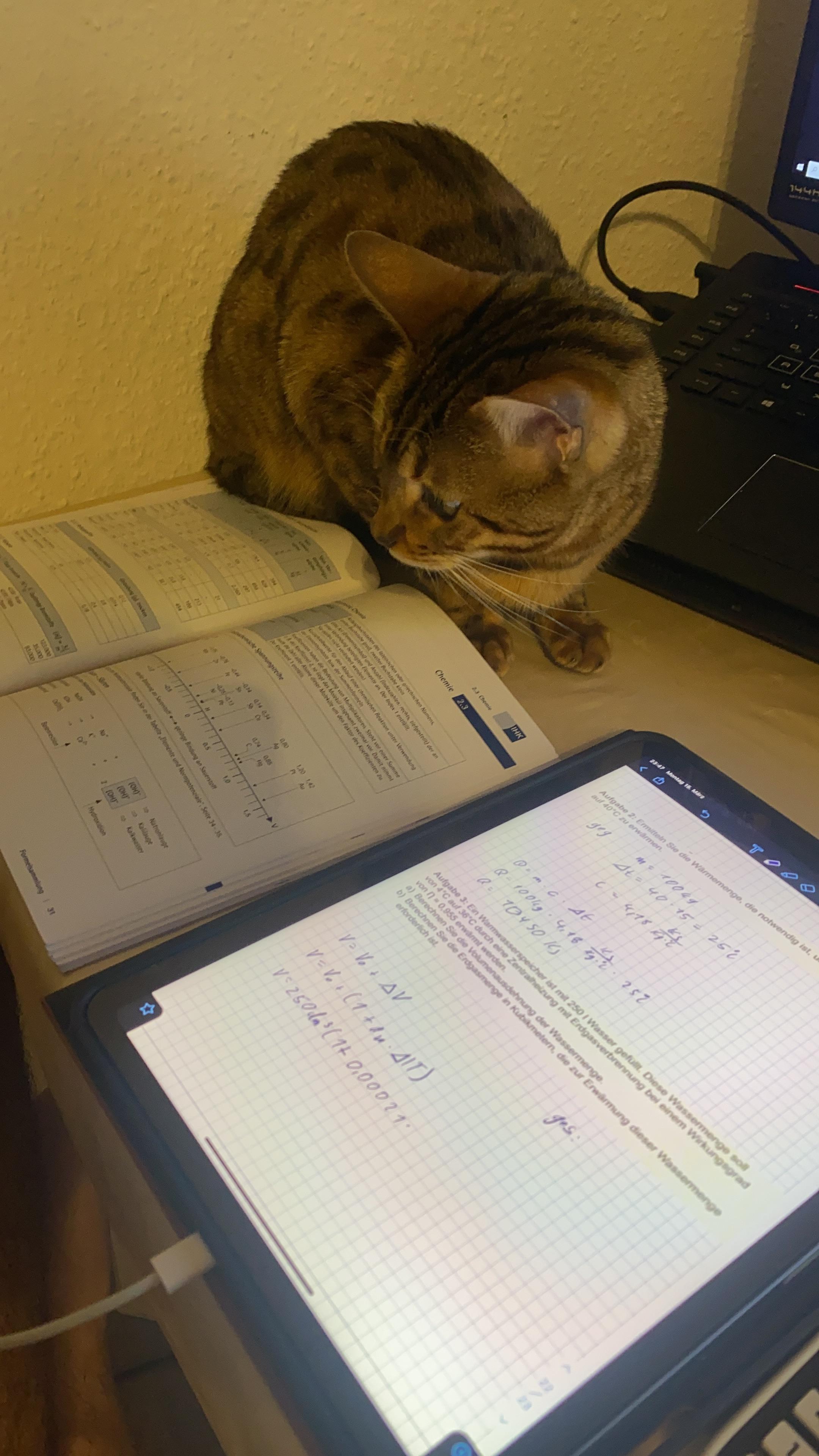 A cute brown spotted cat sitting on a gaming pc desk setup next to a physics textbook, laptop, and tablet.