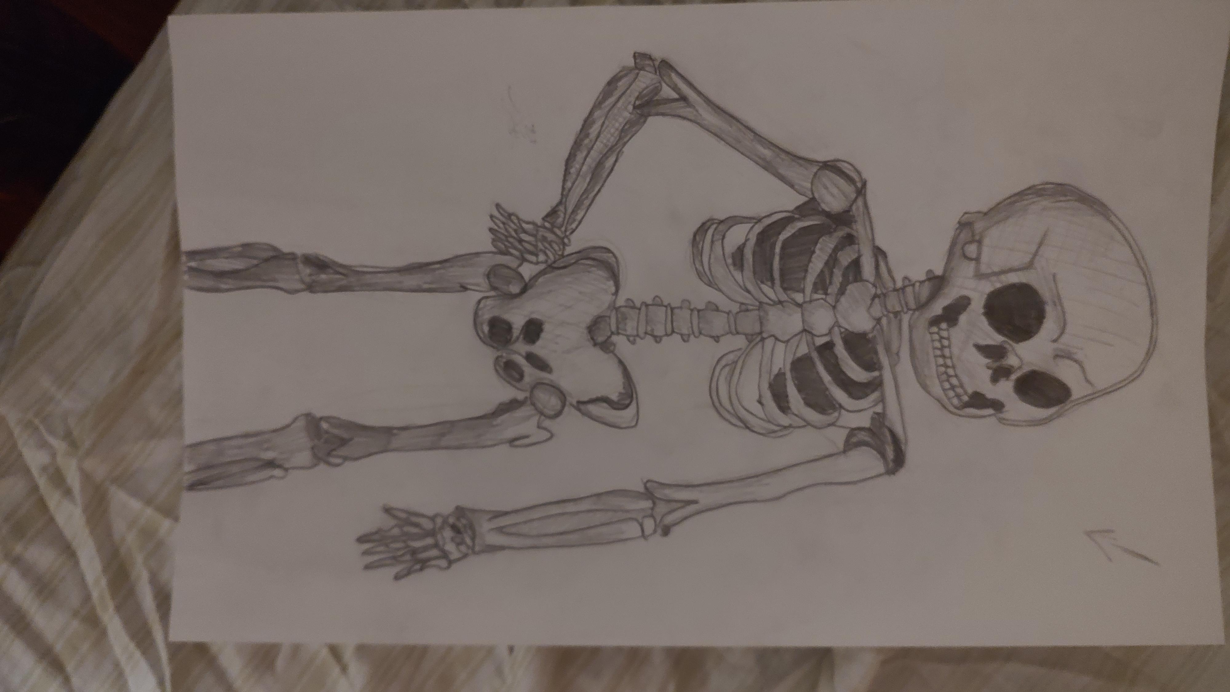 Skelly boi pencil drawings of human skeletons on white paper for tattoo design inspiration