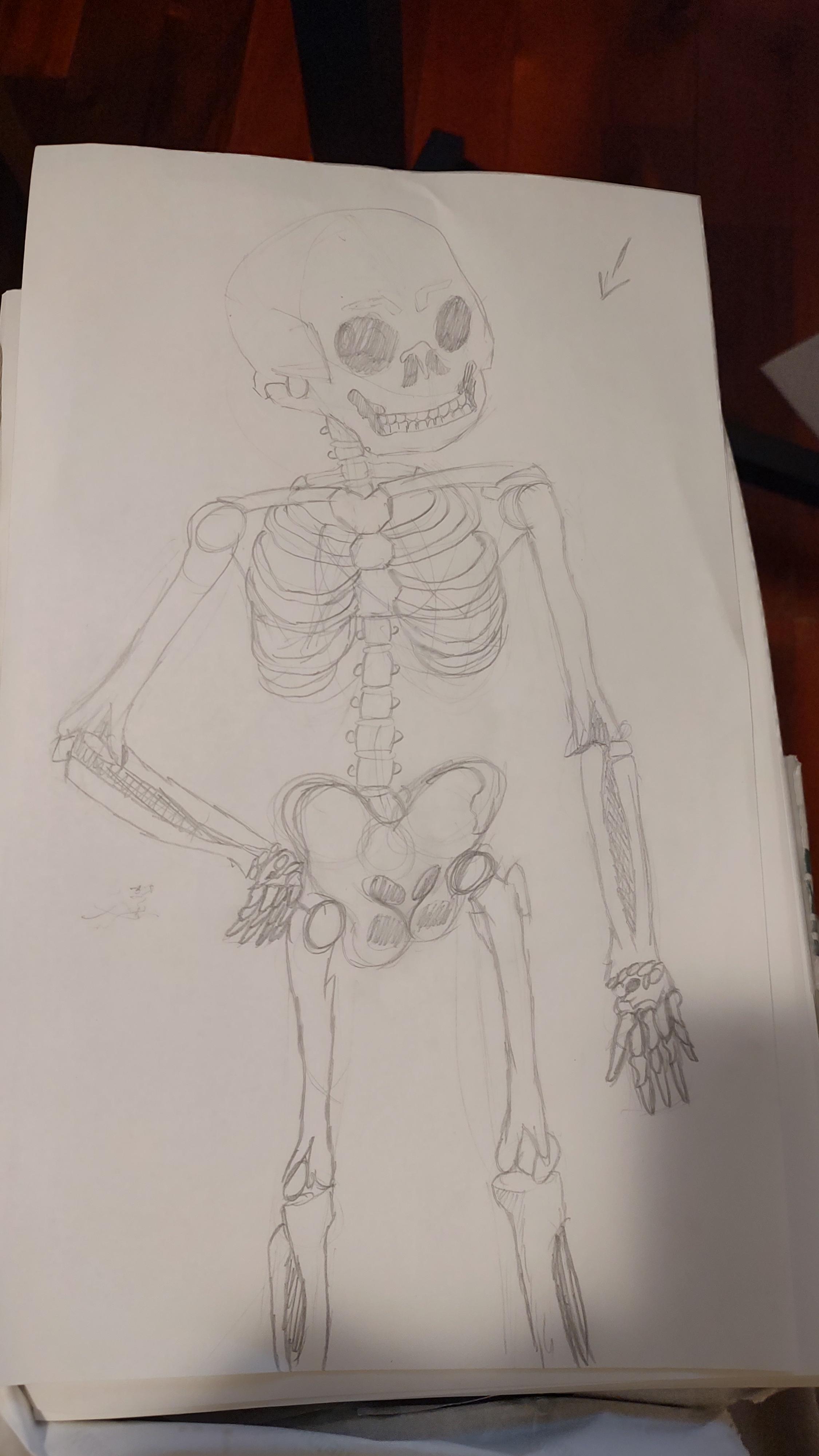 Skelly boi