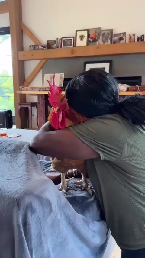 Very huggable