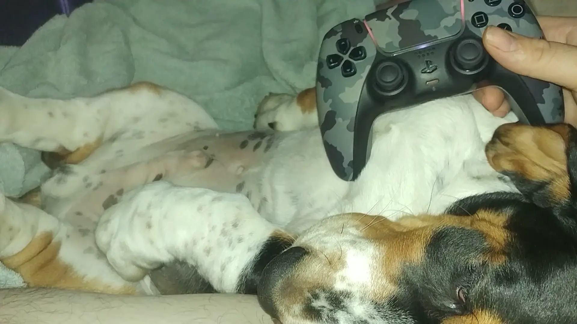 Video Game Buddy