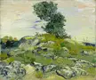 Vincent Van Gogh - The Rocks (1888)