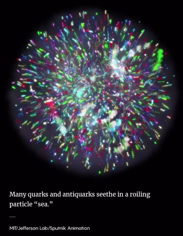 Visualization of the Quarks and Anti-Quarks Inside of the Proton