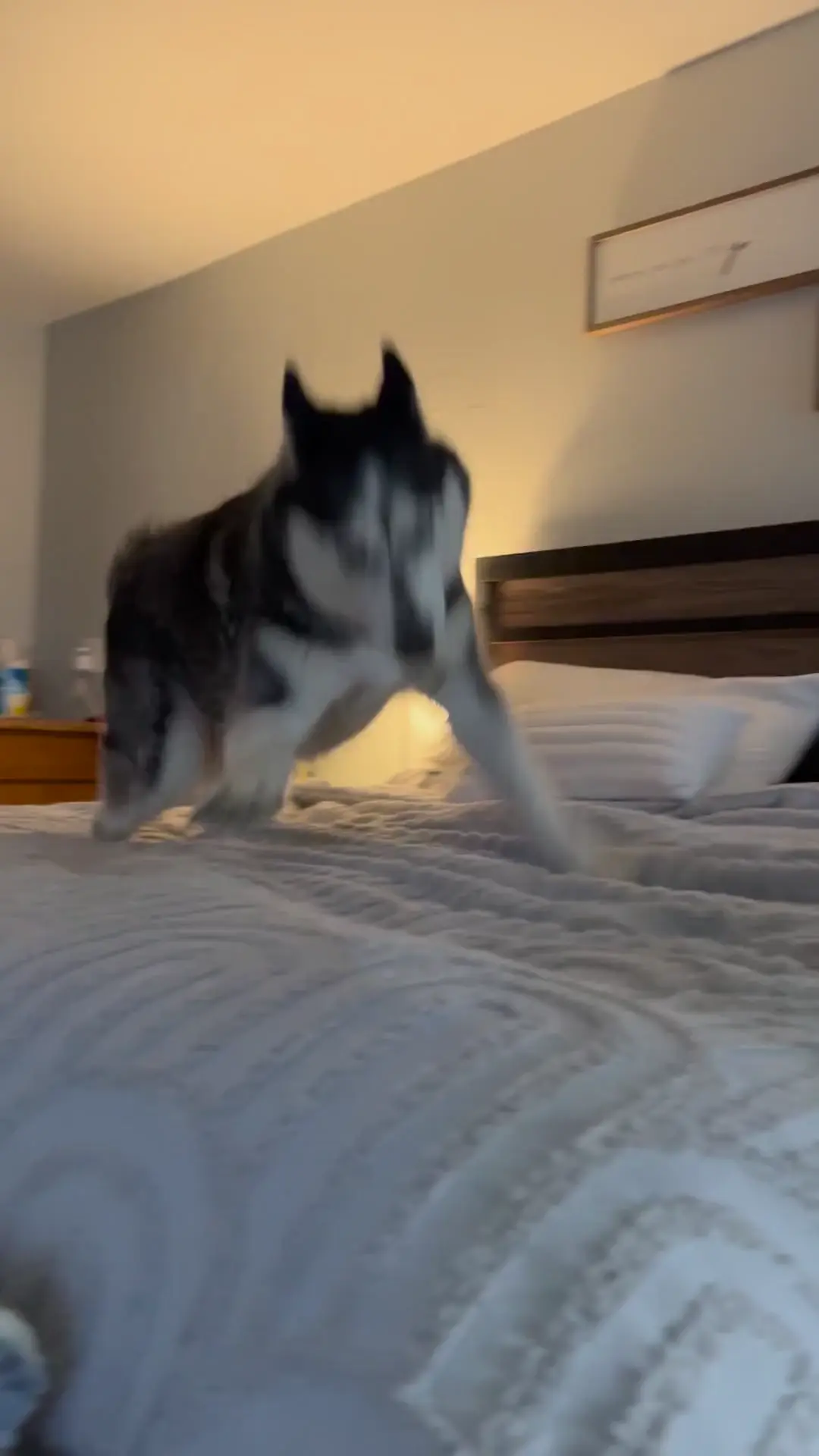 Vitamins/supplements 