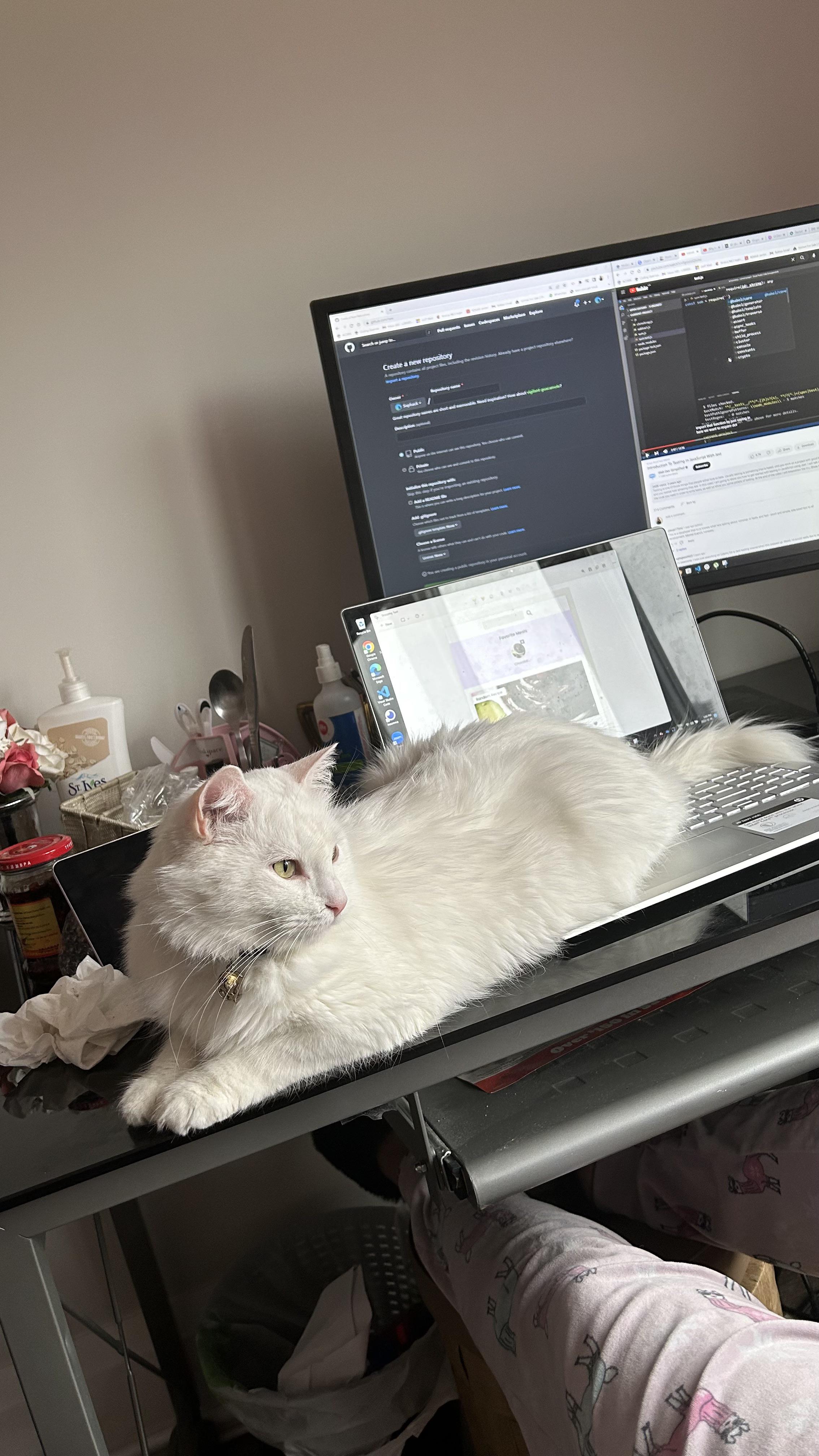 A cute white cat lying on a gaming pc setup desk in front of a computer monitor and laptop